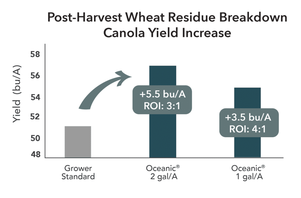 post harvest wheat residue breakdown canola yield increase