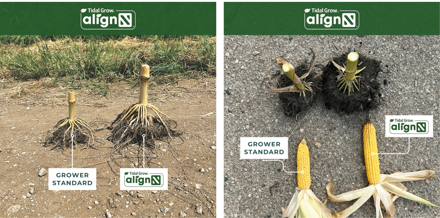 crop comparison images with alignN